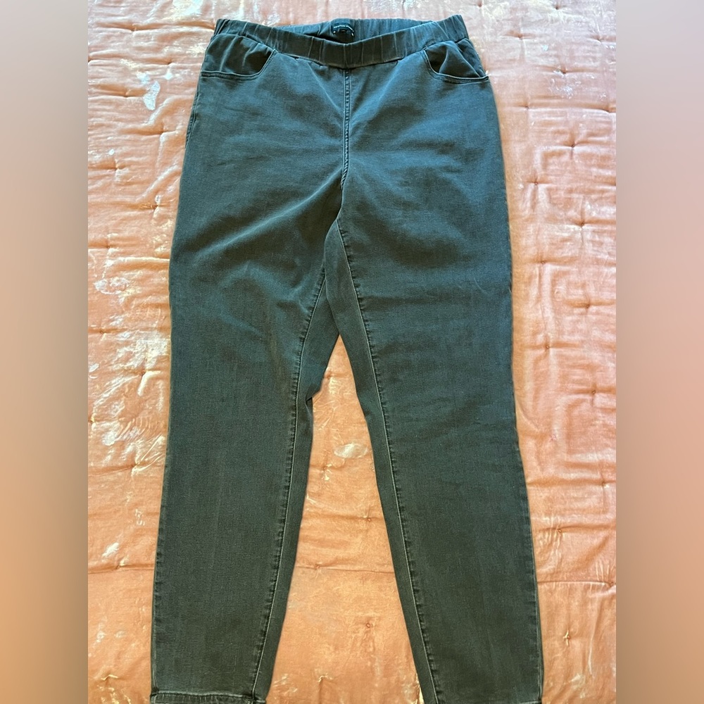 Universal Standard Comfort Denim Don’t be call me jegging jeans.